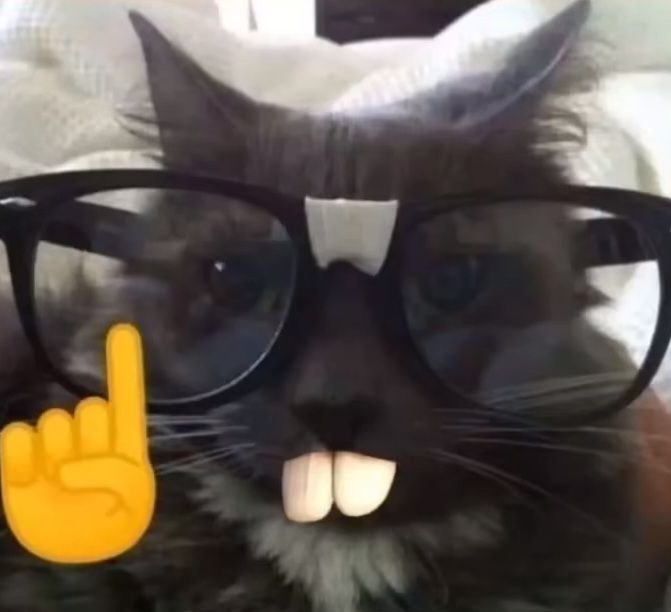 whatsapp image 2026 03 12 at 2.16.30 pm