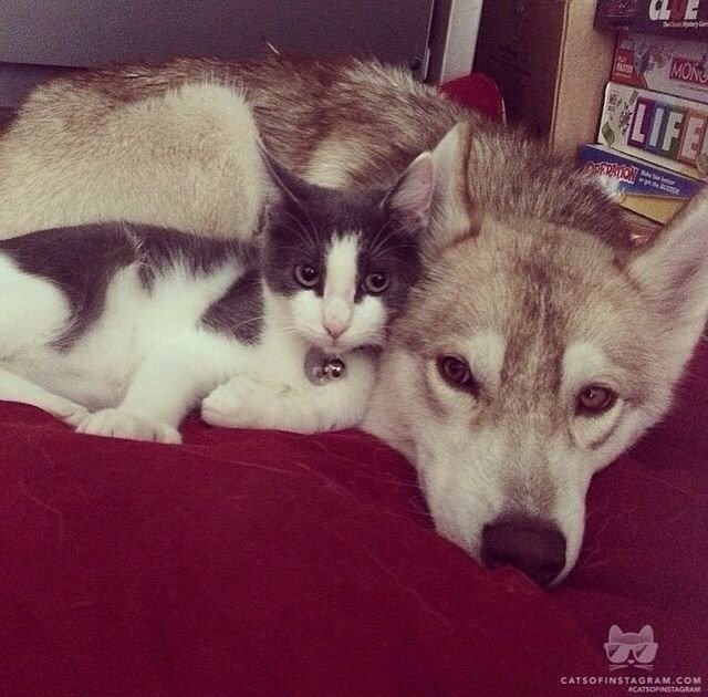 whatsapp image 2026 03 12 at 2.22.55 pm