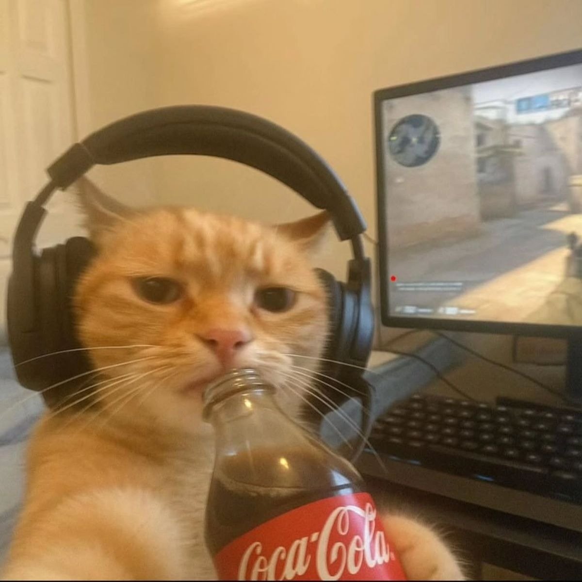 whatsapp image 2026 03 19 at 2.57.38 pm