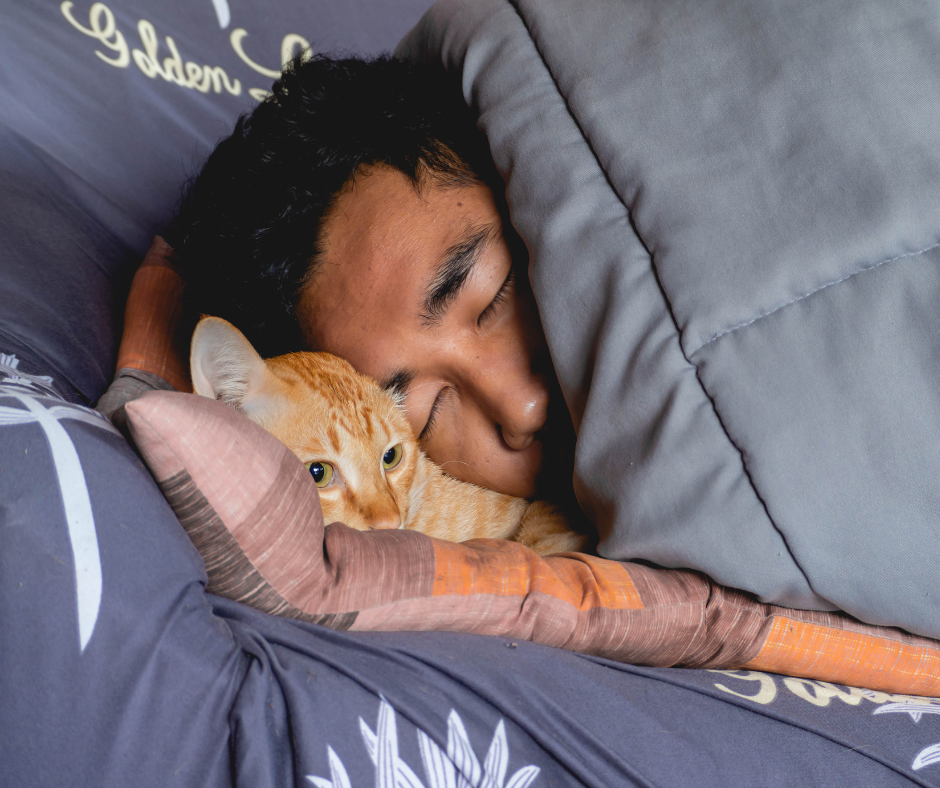 blue and white photo travel facebook post (4)