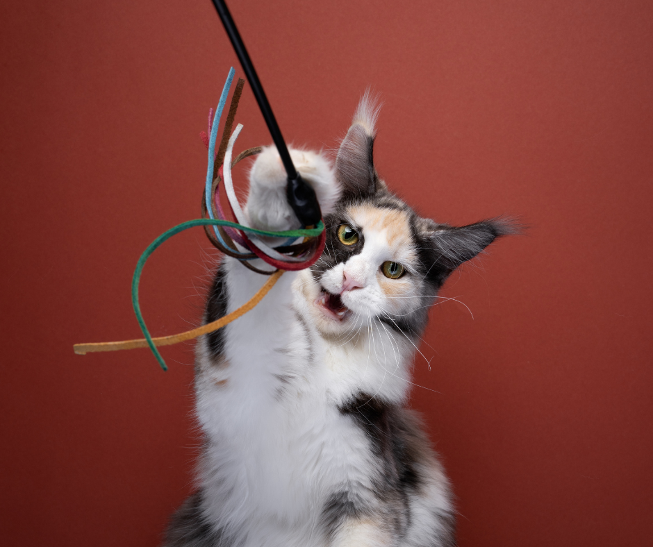 blue and white photo travel facebook post (7)