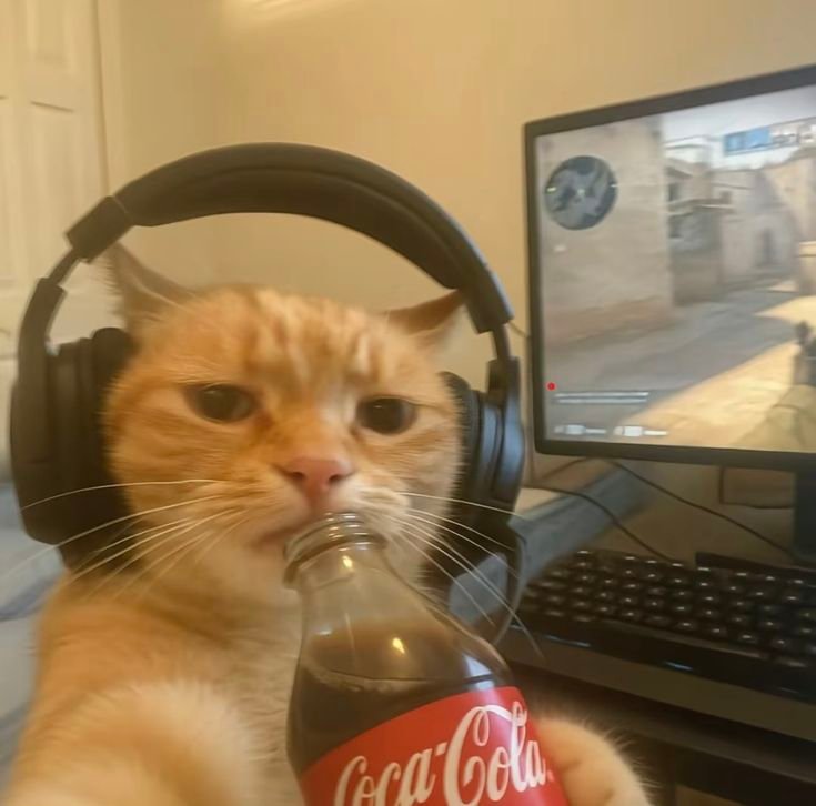 Personalidades Un gato naranja con audifonos y un refresco, enfrente de una computadora